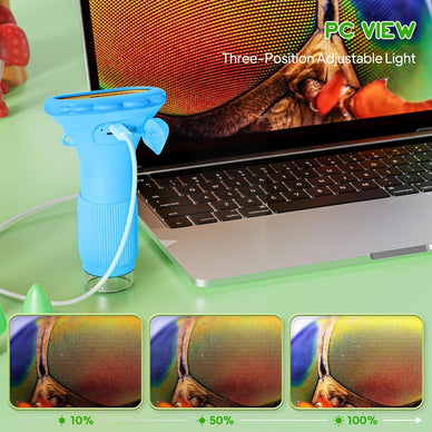 Ignite Curiosity, Spark Discovery