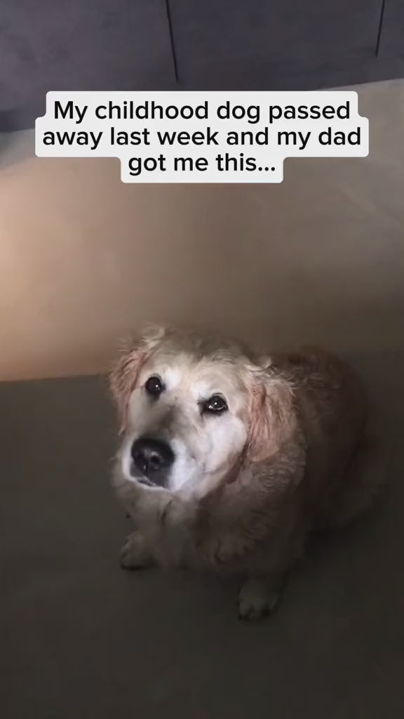 Smart NFC Display Keychain video