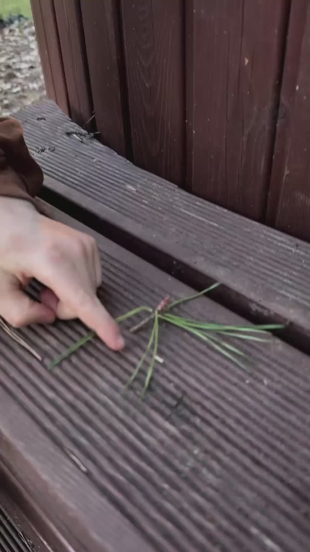 Portable Microscope for Kids video